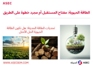 الطاقة الحيوية هل هي الحل الأمثل لتحديات الطاقة الحديثة؟